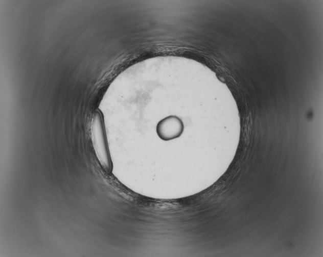 X0000115590716200912081049