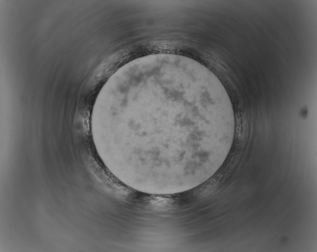 X0000115590718200912081049