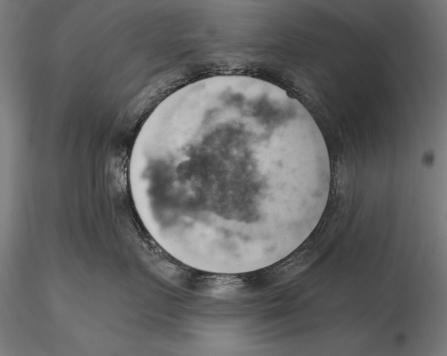 X0000115590719200912081049