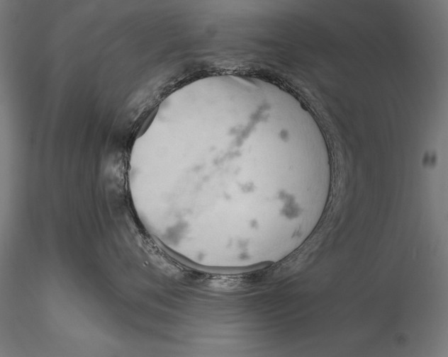 X0000115590720200912081049
