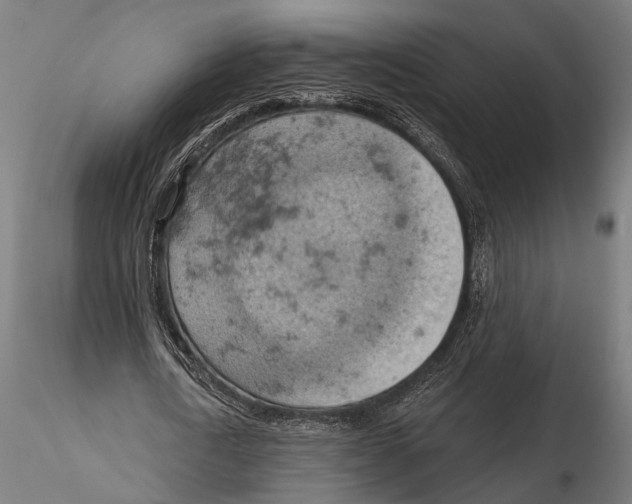 X0000115590722200912081048