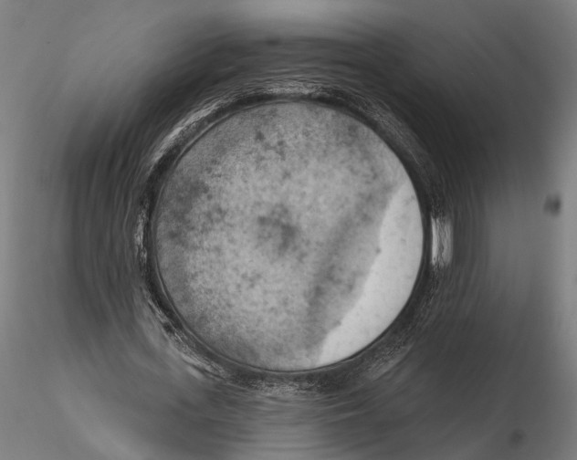 X0000115590723200912081048
