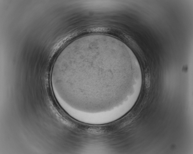 X0000115590725200912081048