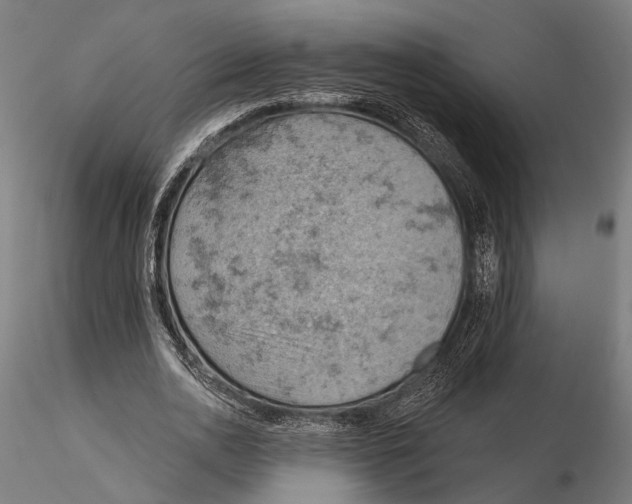 X0000115590726200912081048