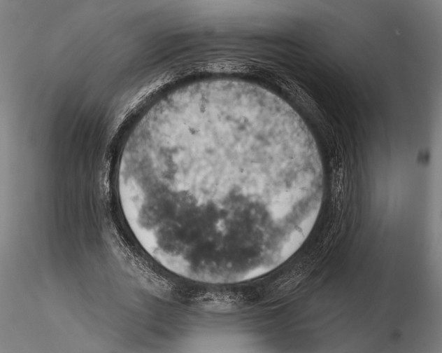 X0000115590727200912081048