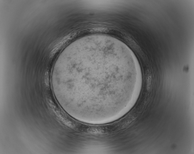 X0000115590729200912081048