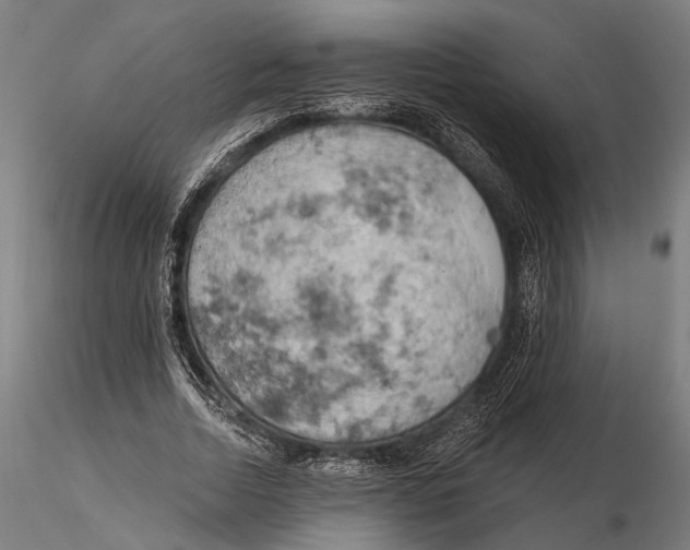 X0000115590730200912081048