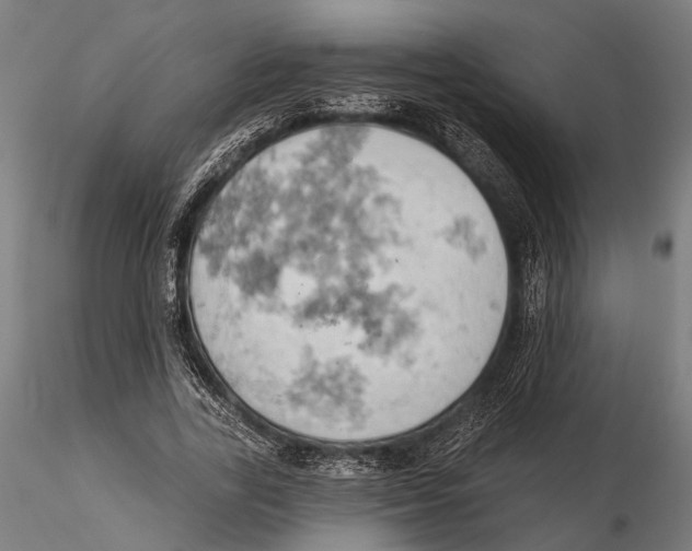 X0000115590731200912081048