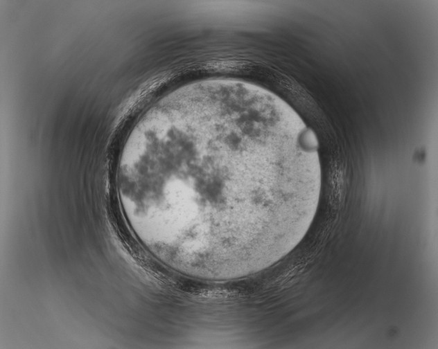 X0000115590734200912081048