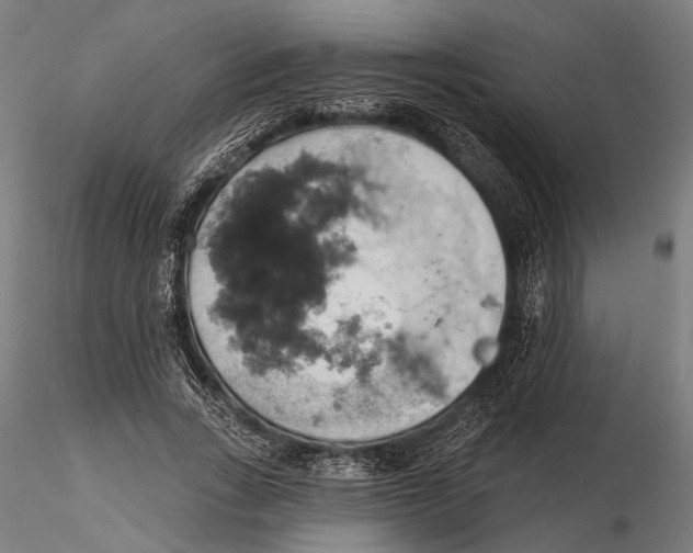 X0000115590735200912081048