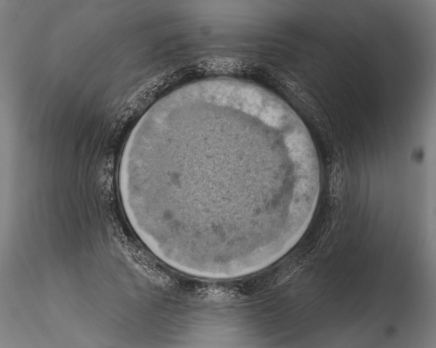 X0000115590737200912081048