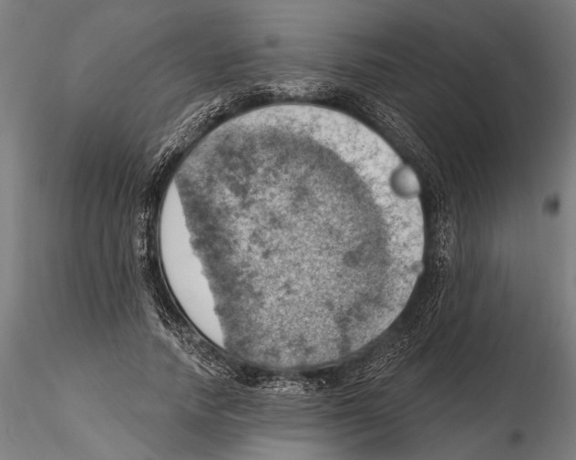 X0000115590738200912081048