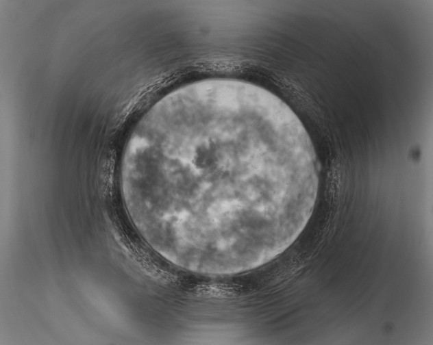 X0000115590739200912081048