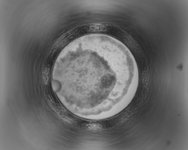 X0000115590741200912081048