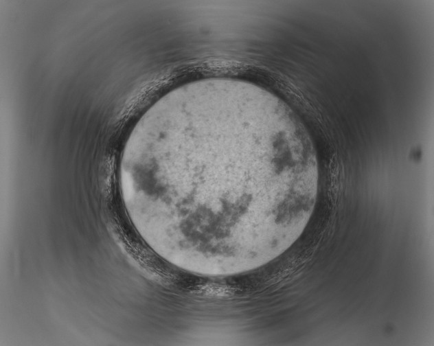 X0000115590742200912081048