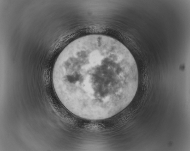 X0000115590743200912081048
