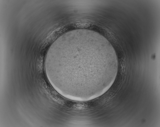 X0000115590745200912081048