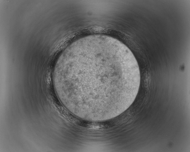 X0000115590746200912081048