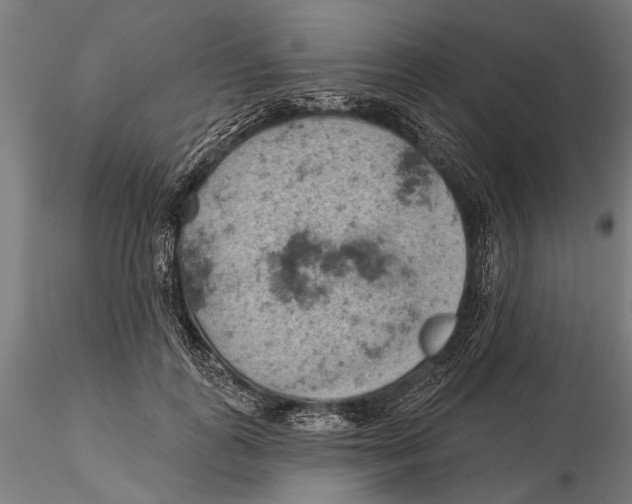 X0000115590747200912081048