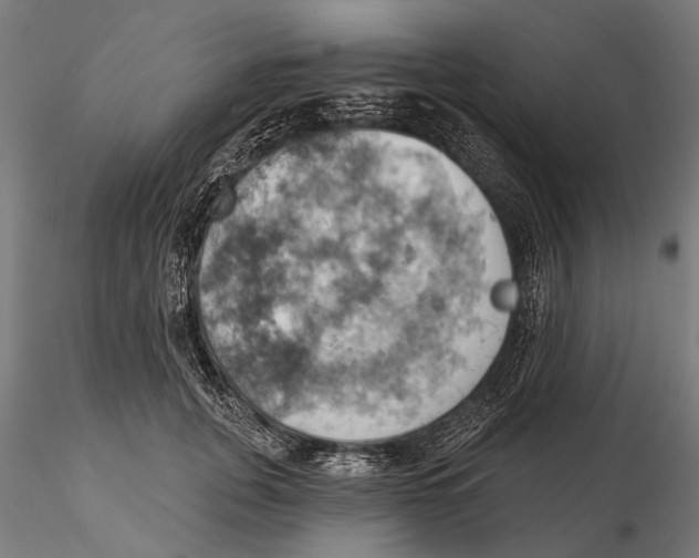 X0000115590751200912081048