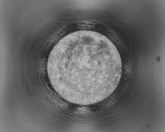 X0000115590753200912081048