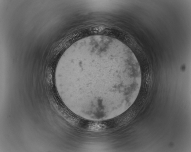 X0000115590754200912081048