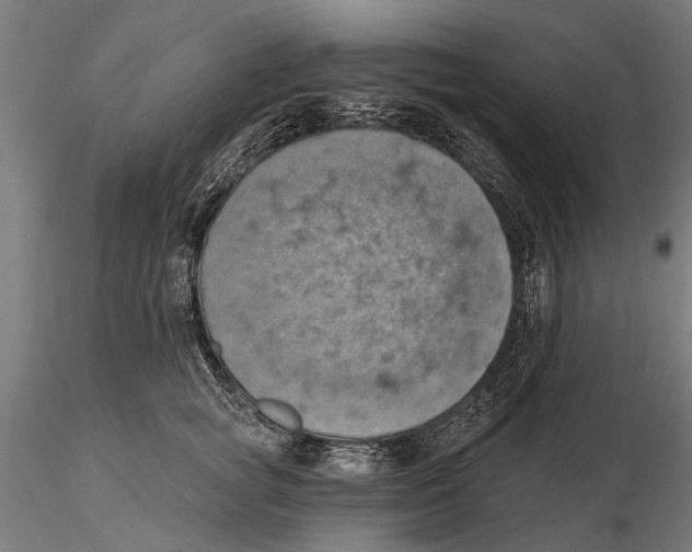X0000115590757200912081049