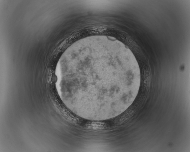 X0000115590758200912081049