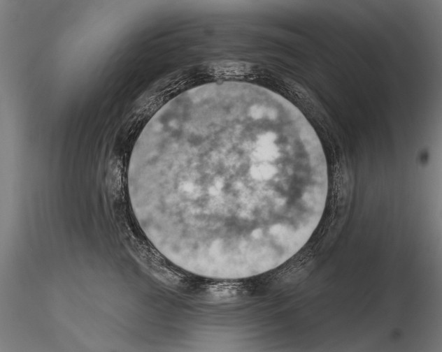 X0000115590761200912081049