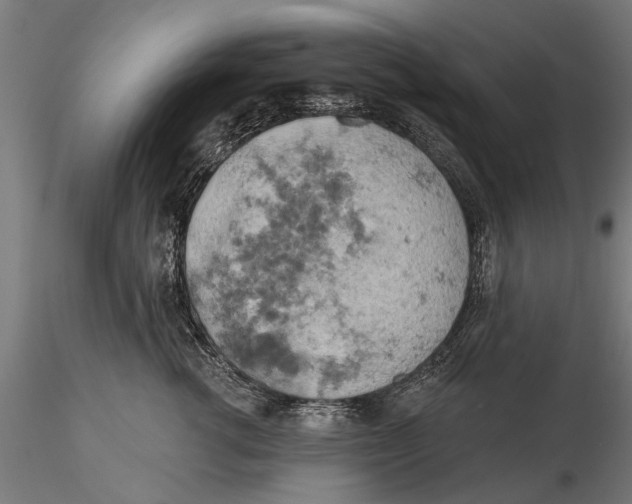 X0000115590762200912081049