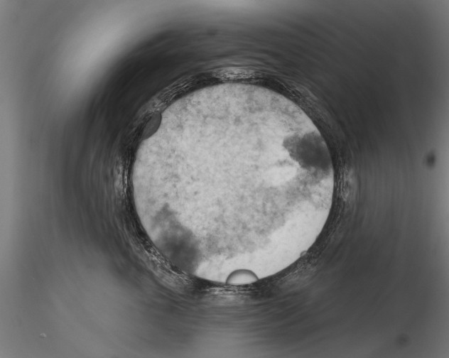 X0000115590763200912081049