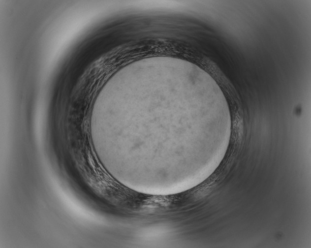 X0000115590765200912081049