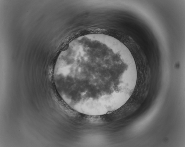X0000115590767200912081049