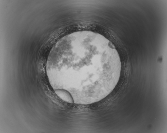 X0000115590770200912081048