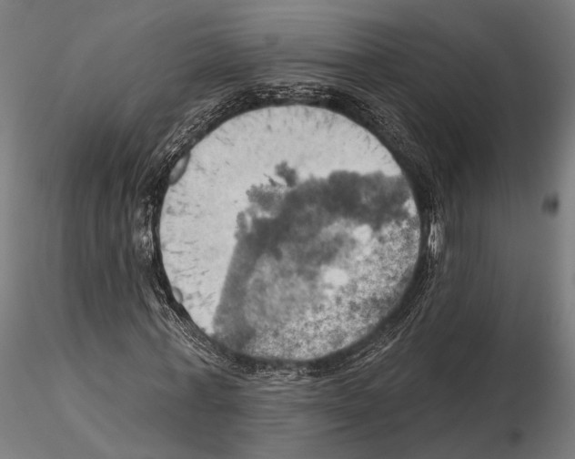 X0000115590771200912081048