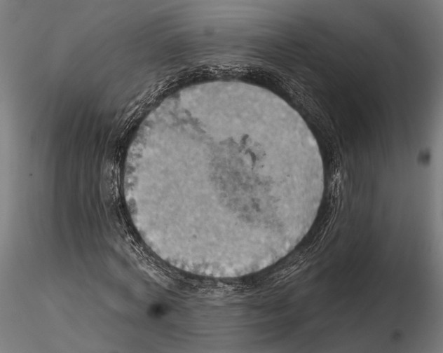 X0000115590772200912081048