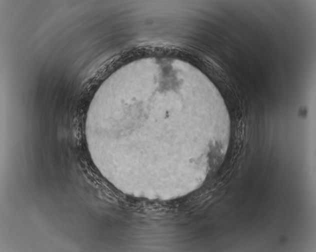 X0000115590774200912081048