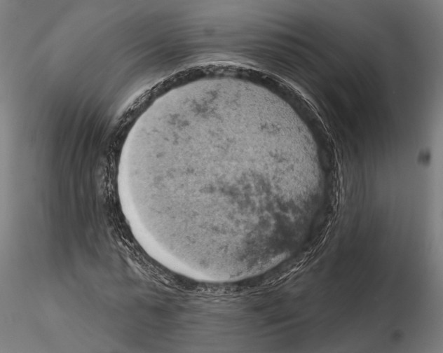 X0000115590775200912081048