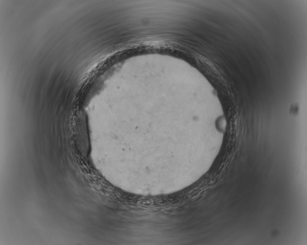 X0000115590776200912081048