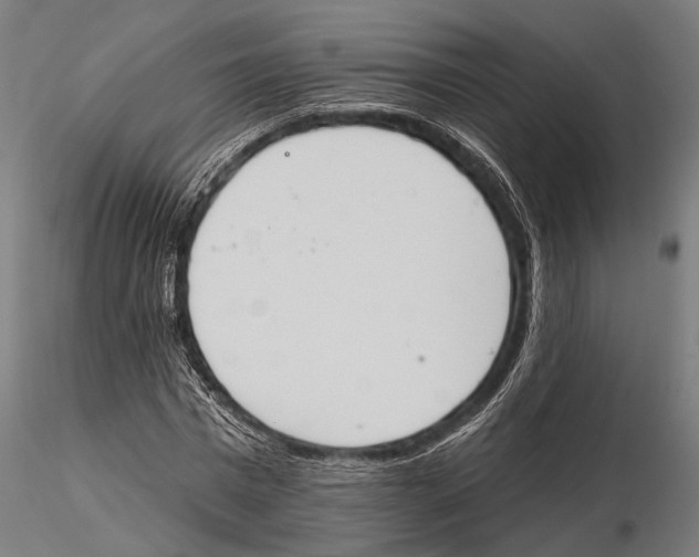 X0000115590777200912081048