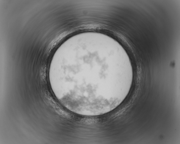 X0000115590778200912081048