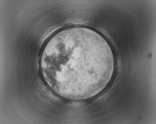 X0000115590782200912081048