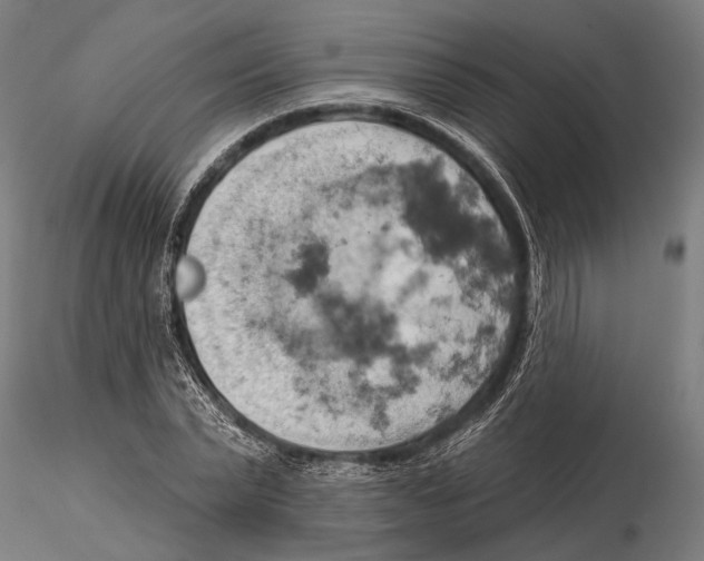 X0000115590783200912081048