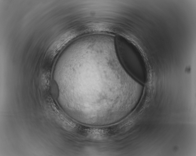 X0000115590785200912081048