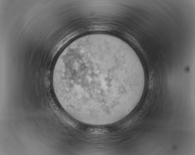 X0000115590786200912081048