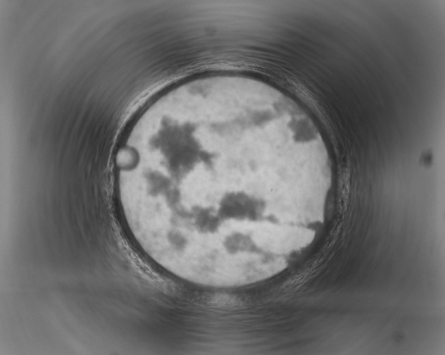 X0000115590787200912081048