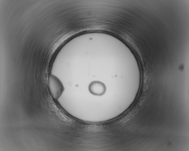 X0000115590789200912081048