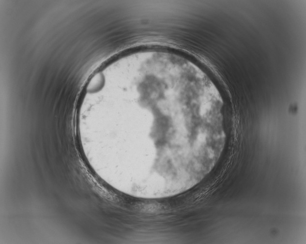 X0000115590791200912081048
