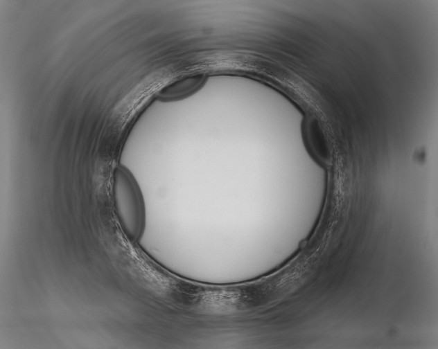 X0000115590793200912081048