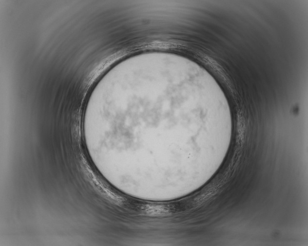 X0000115590794200912081048